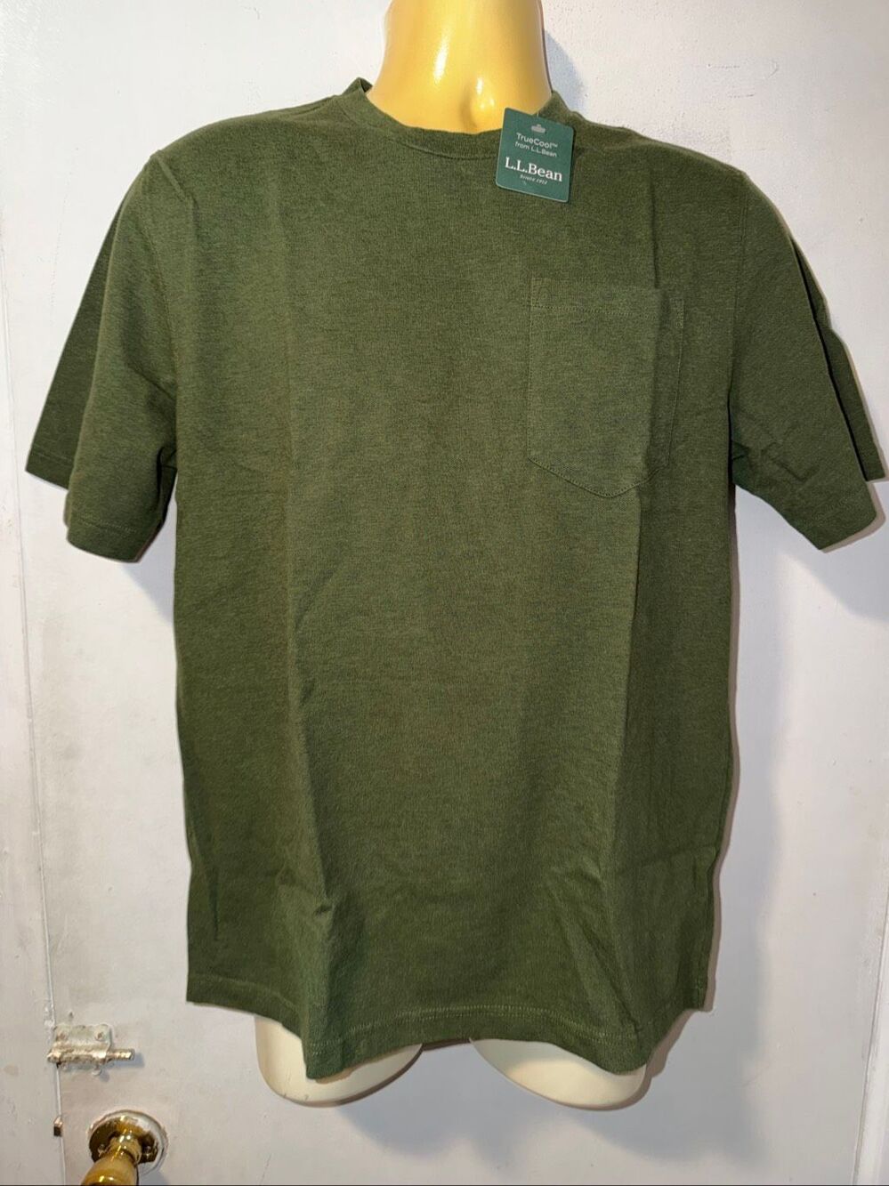 LL BEAN Moutnsin Spruce Green Seacoast Knit TShirt-M {NWT}